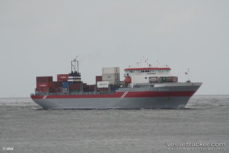 Saleh - Livestock Carrier vessel