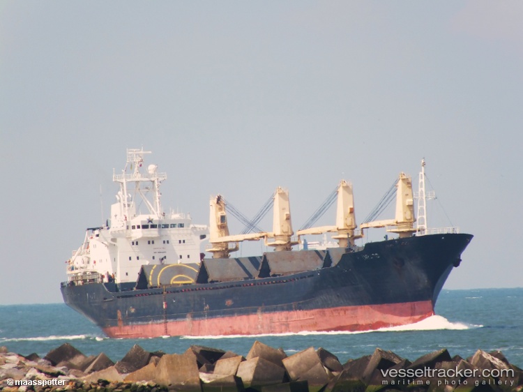 Mr-Trader - Bulk Carrier vessel