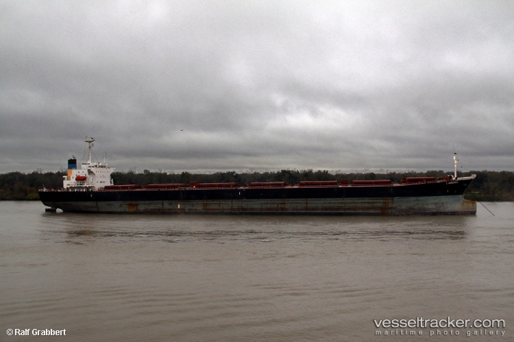 Guodian22 - Bulk Carrier vessel