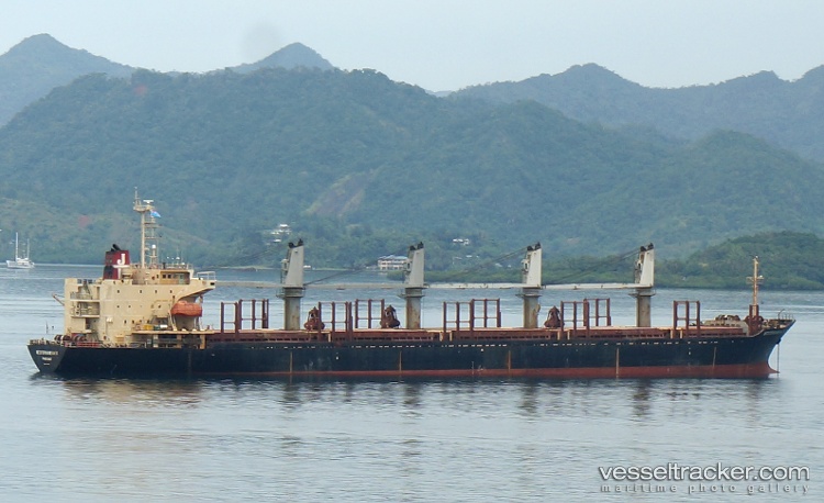 Run-Fu-1 - Bulk Carrier vessel