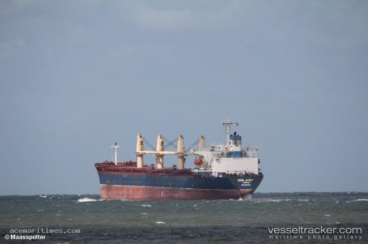 Kavkaz-V - Bulk Carrier