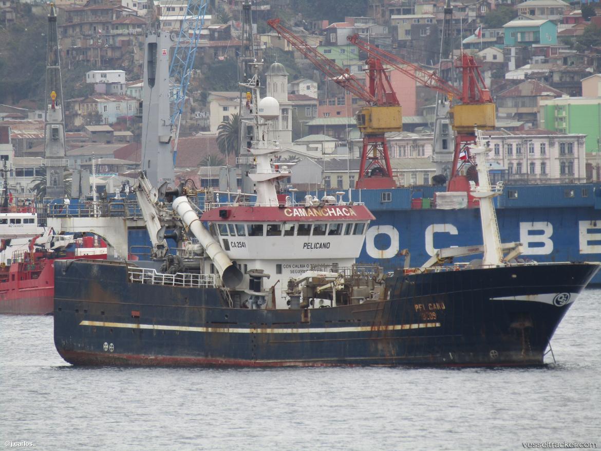 Pelicano - Fish Carrier vessel