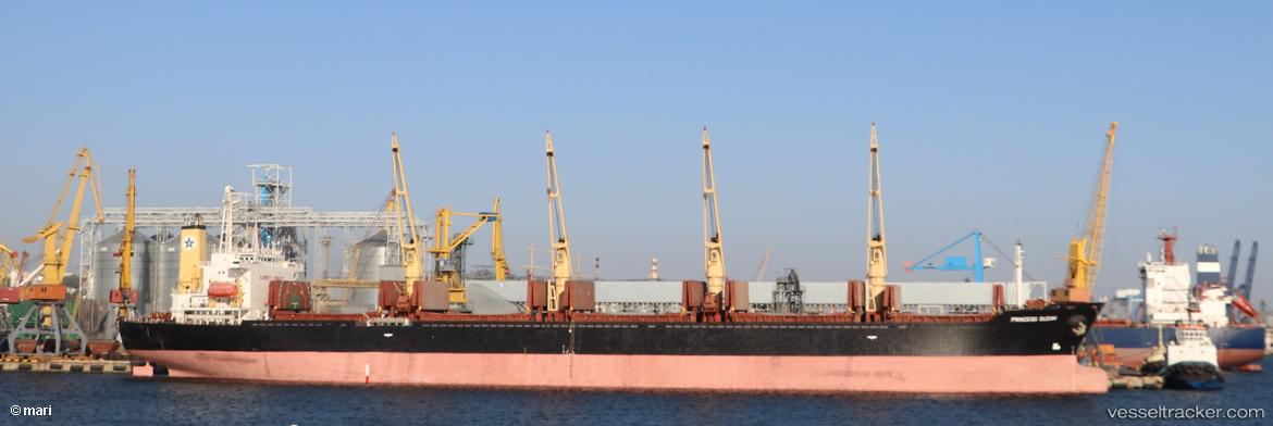 Princess-Suzan - Bulk Carrier vessel
