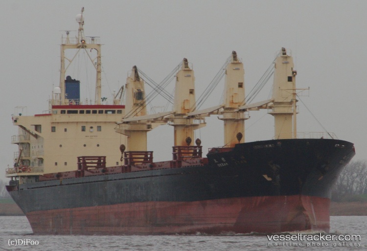 Ladonna - Bulk Carrier vessel