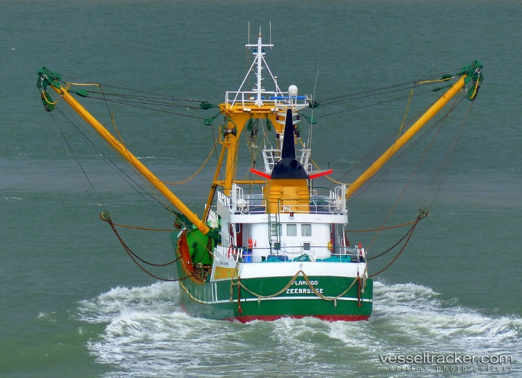 Z548-Flamingo - Fishing Vessel vessel