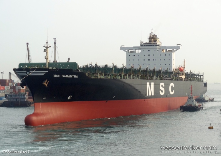 Msc-Samantha-Vi