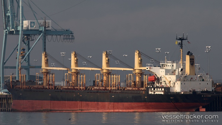 Dynamic-M - Bulk Carrier vessel