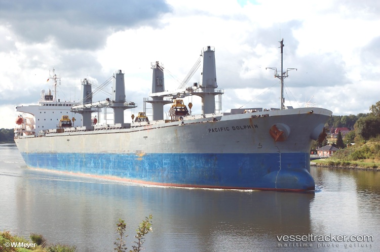 Eleven-Gold - Bulk Carrier vessel