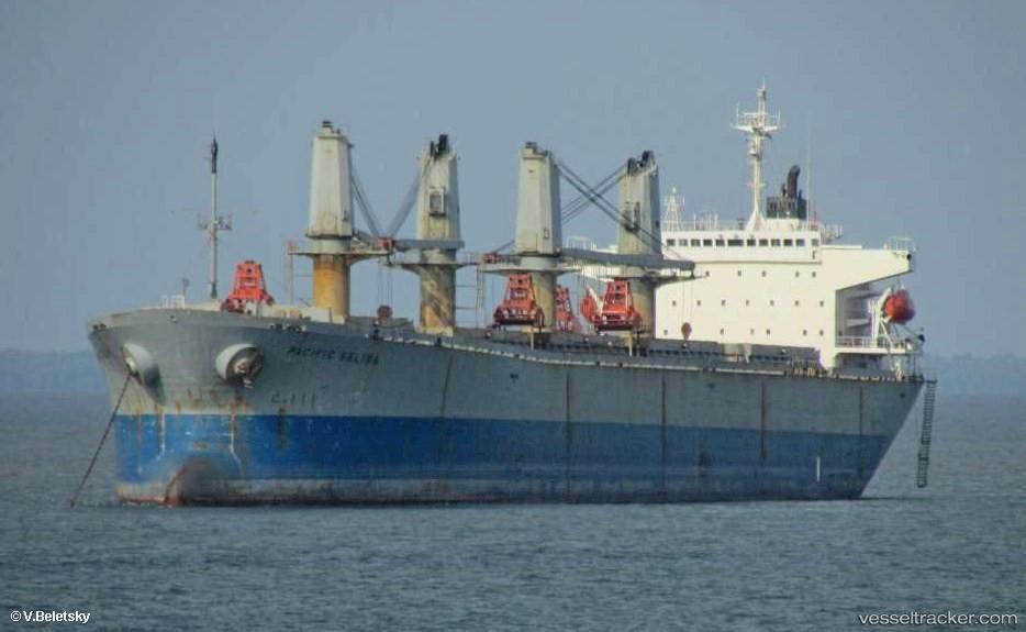 Tung-Tuan-22 - Bulk Carrier vessel