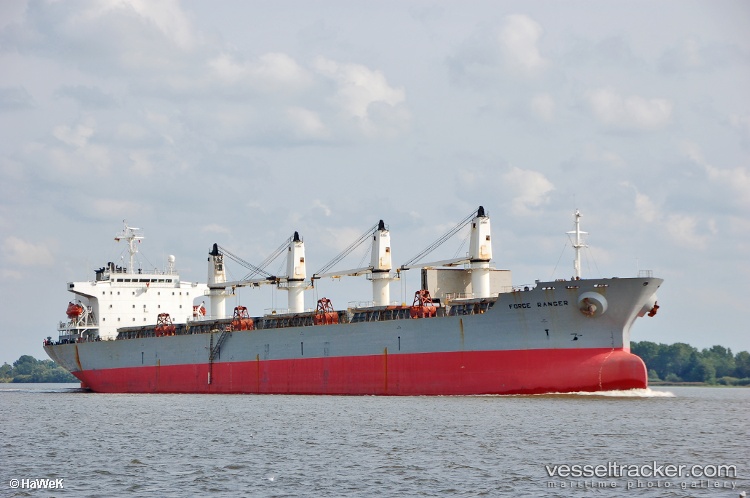 Wantong-Summer - Bulk Carrier vessel