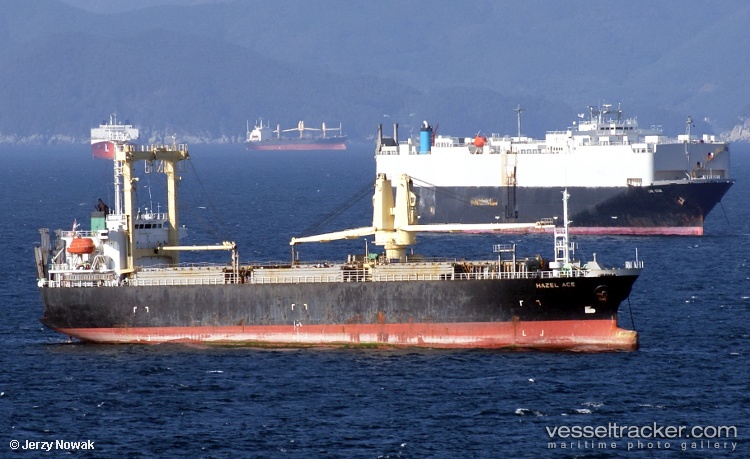 Step-Forward - General Cargo Ship vessel