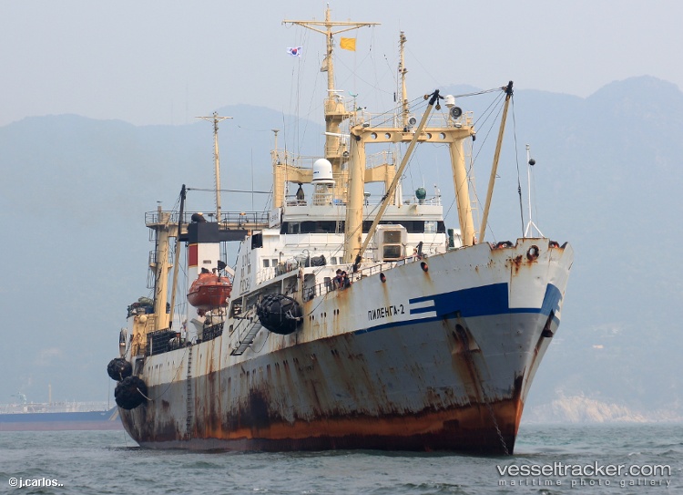 Pilenga-2 - Fish Factory Ship vessel
