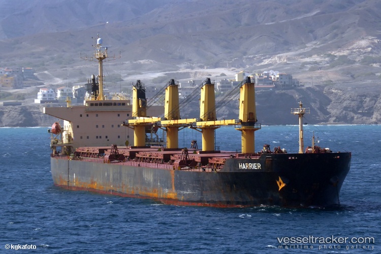 Rising-Harrier - Bulk Carrier vessel