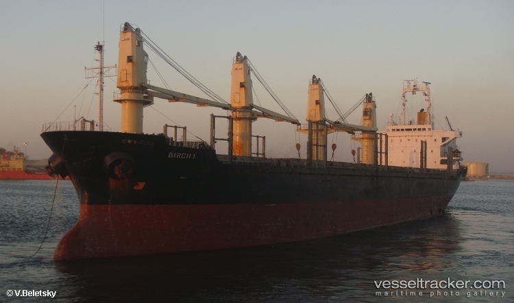 Evolution - Bulk Carrier vessel