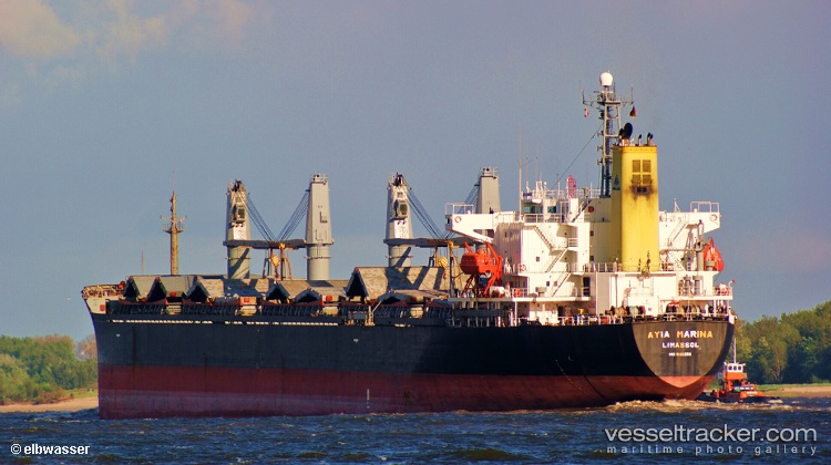 Three-Star - Bulk Carrier vessel