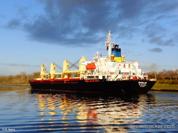 Dahlia - Bulk Carrier vessel