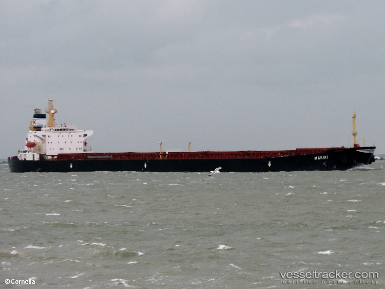 Tai-Hang-3 - Bulk Carrier vessel