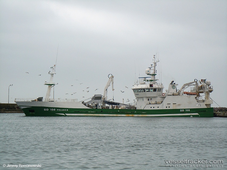 Felucca - Fish Carrier vessel