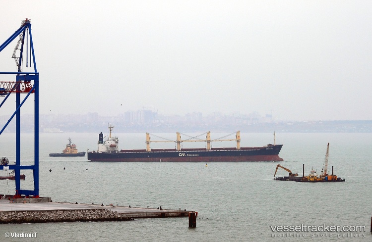 Tidex - Bulk Carrier vessel