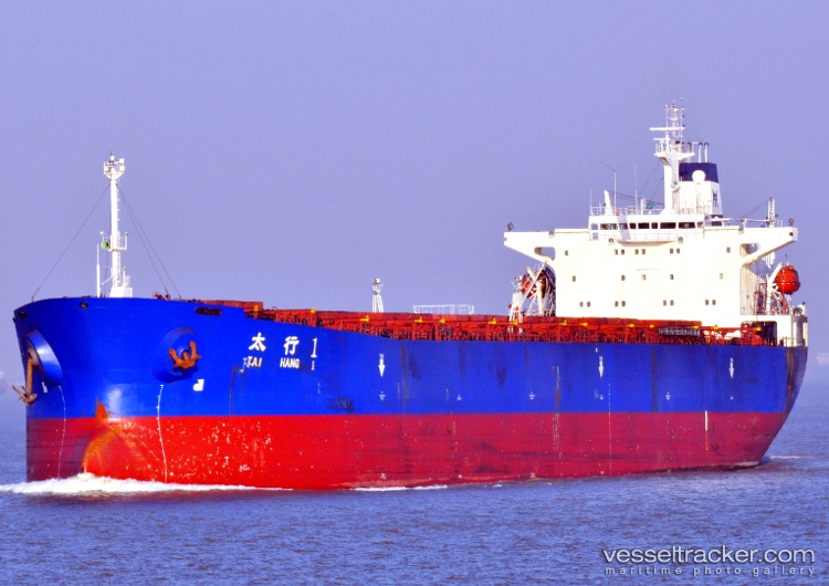Tai-Hang-1 - Bulk Carrier vessel
