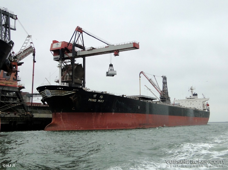 Dong-Xing-Hai-Tai - Bulk Carrier vessel