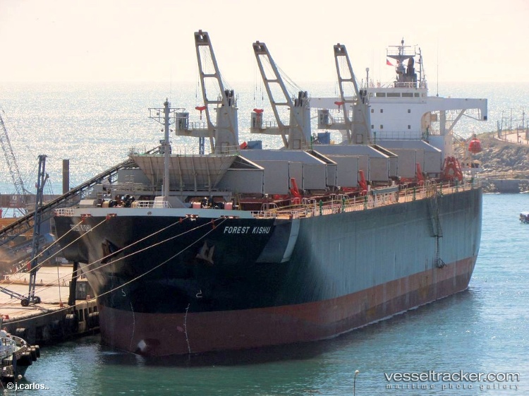 Thanh-Thanh-Dat-89 - Wood Chips Carrier vessel