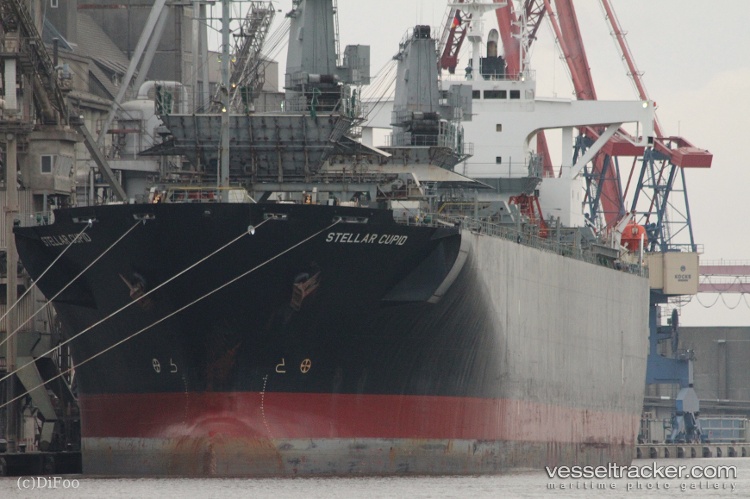 Hao-Hung-66 - Wood Chips Carrier vessel