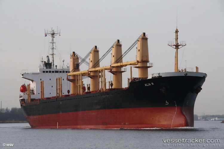 Suzy - Bulk Carrier vessel