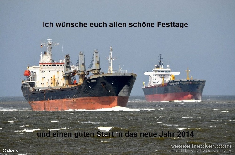 Aroyat - Bulk Carrier vessel