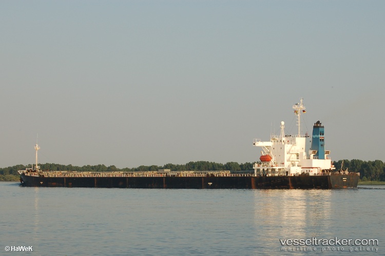 Yue-Dian-8 - Bulk Carrier vessel