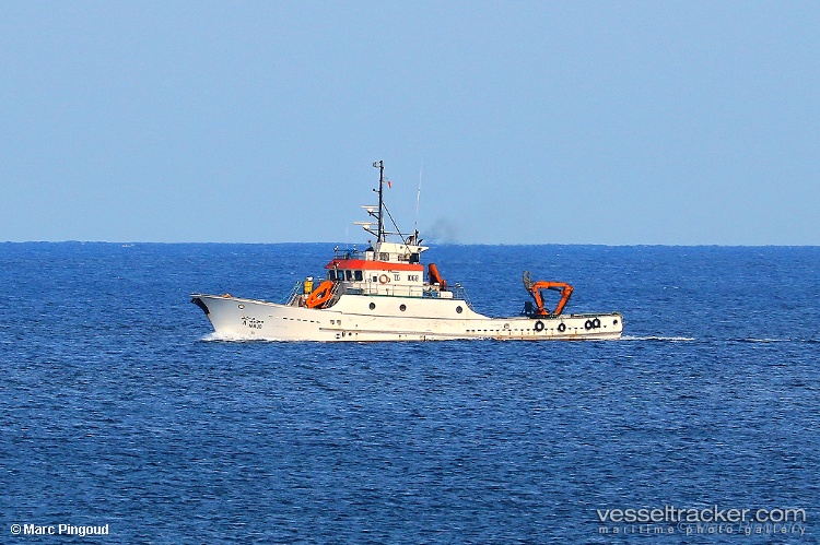 Majd - Fish Carrier vessel