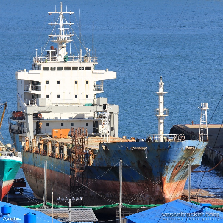 Marya - Multi Purpose Carrier