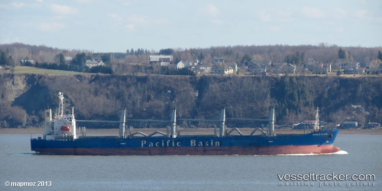Harmony-Ocean - Bulk Carrier vessel
