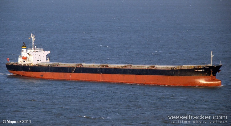 Yue-Dian-81 - Bulk Carrier vessel