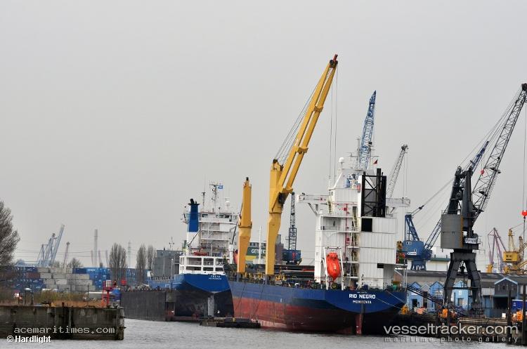 Mayyun-Qaswarah - Multi Purpose Carrier