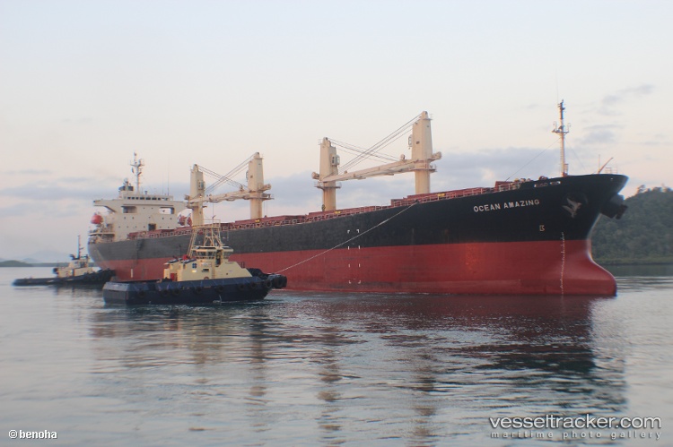 Ocean-Amazing - Bulk Carrier