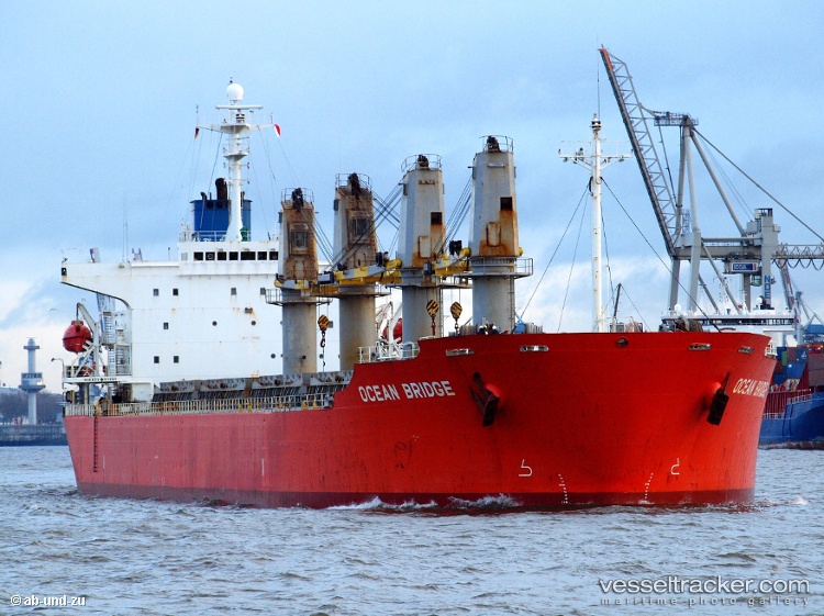 Ammar - Bulk Carrier vessel