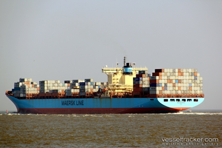 Msc-Aby - Container Ship vessel
