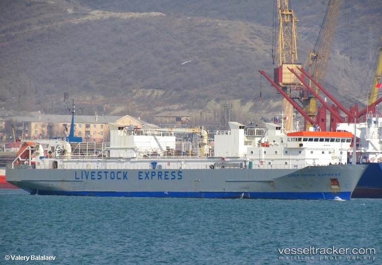 Shorthorn-Express - Livestock Carrier vessel