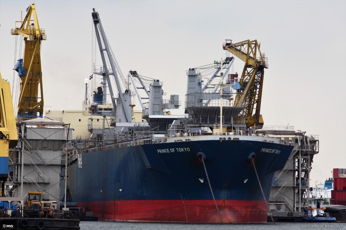 Thanh-Thanh-Dat-899 - Wood Chips Carrier vessel