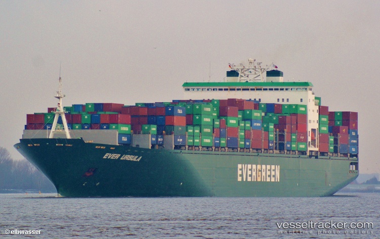 Msc-Ursula-Vi - Container Ship vessel