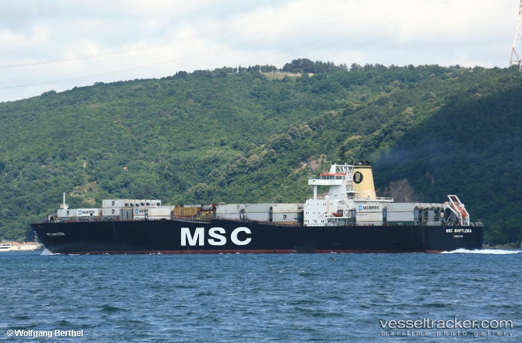 Msc-Marylena-Ii