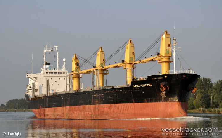 Dina-Ocean - Bulk Carrier vessel