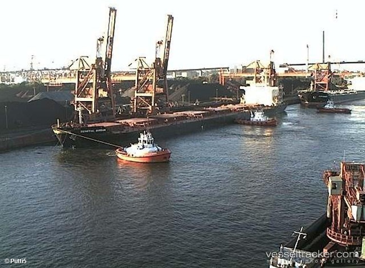 Chang-Yang-Jin-Fa - Bulk Carrier vessel