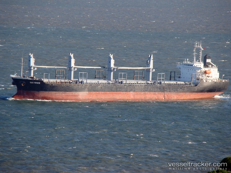 Diamond-Star-I - Bulk Carrier vessel