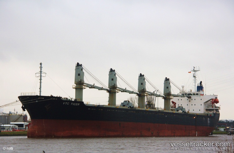 Long-Tan-239 - Bulk Carrier vessel