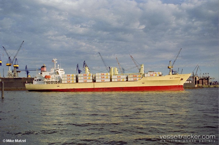 Baltic-Jasmine - Refrigerated Cargo Ship vessel
