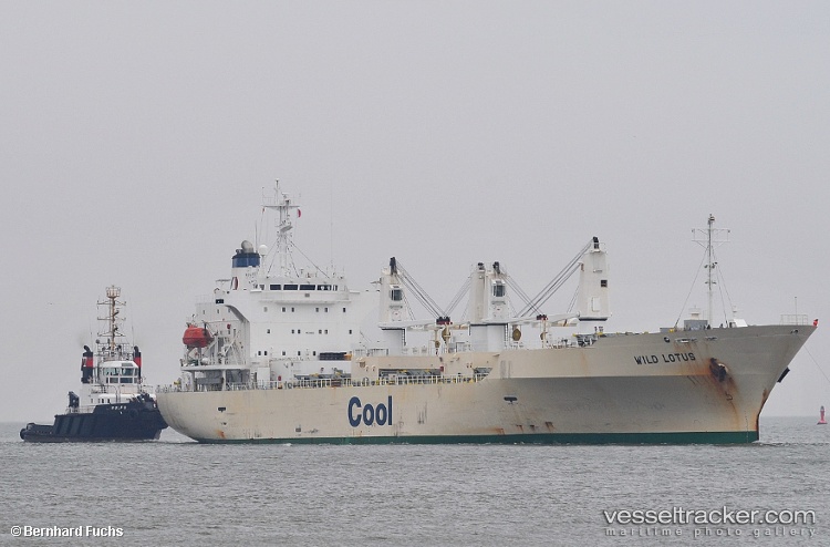 Wild-Lotus - Refrigerated Cargo Ship vessel