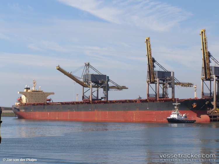 Gingo - Bulk Carrier vessel