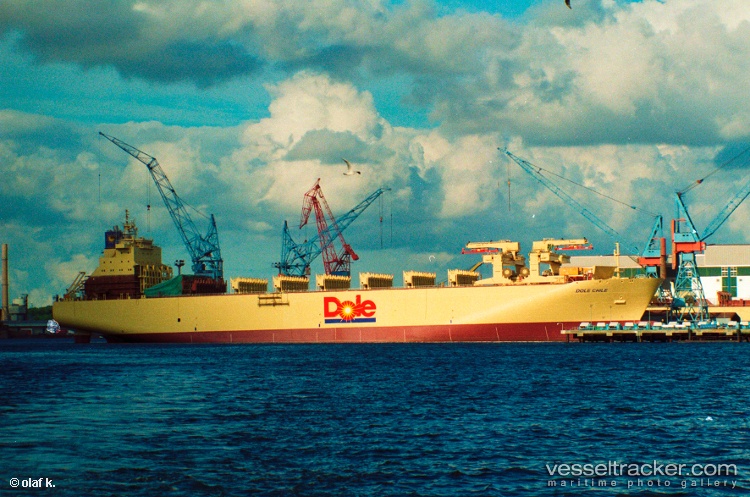 Dole-Chile - Container Ship vessel